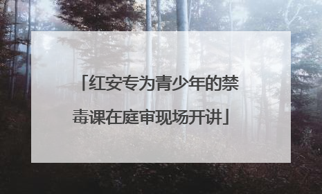 红安专为青少年的禁毒课在庭审现场开讲