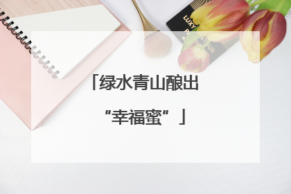 绿水青山酿出“幸福蜜”