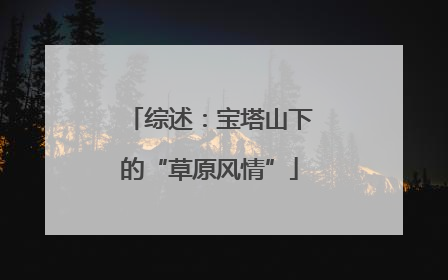 综述：宝塔山下的“草原风情”