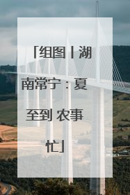 组图丨湖南常宁：夏至到 农事忙