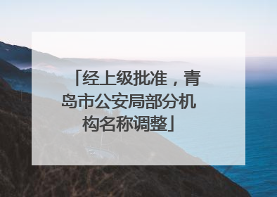经上级批准，青岛市公安局部分机构名称调整