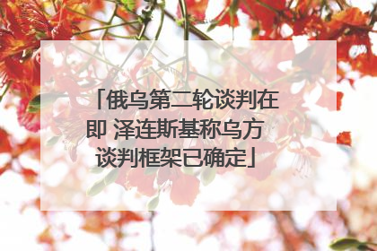 俄乌第二轮谈判在即 泽连斯基称乌方谈判框架已确定