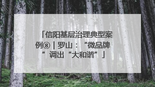 信阳基层治理典型案例⑧｜罗山：“微品牌”调出“大和谐”