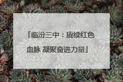 临汾三中：赓续红色血脉 凝聚奋进力量