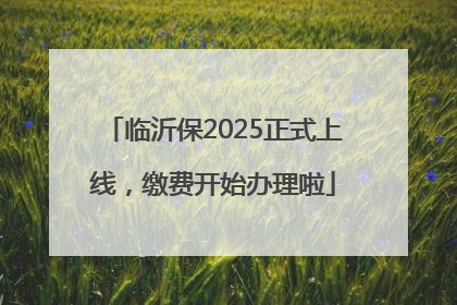 临沂保2025正式上线，缴费开始办理啦
