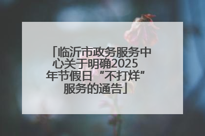 临沂市政务服务中心关于明确2025年节假日“不打烊”服务的通告