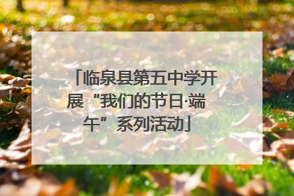 临泉县第五中学开展“我们的节日·端午”系列活动
