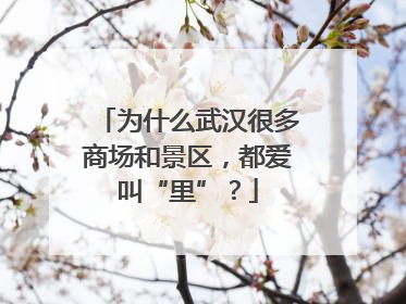 为什么武汉很多商场和景区，都爱叫“里”？