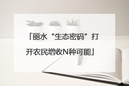 丽水“生态密码”打开农民增收N种可能