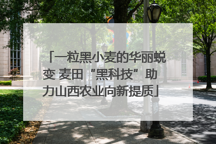 一粒黑小麦的华丽蜕变 麦田“黑科技”助力山西农业向新提质