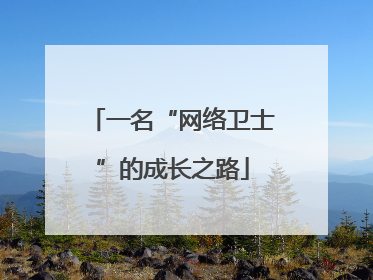 一名“网络卫士”的成长之路