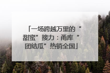 一场跨越万里的“甜蜜”接力：甬库“团结瓜”热销全国