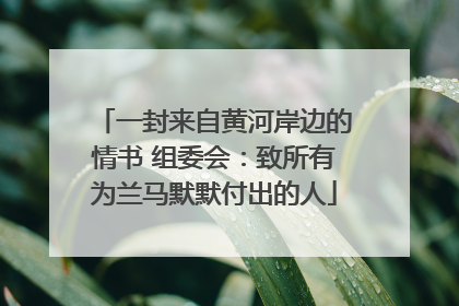 一封来自黄河岸边的情书 组委会：致所有为兰马默默付出的人