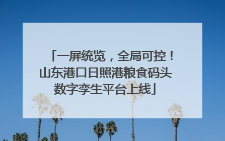 一屏统览，全局可控！山东港口日照港粮食码头数字孪生平台上线