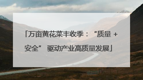 万亩黄花菜丰收季：“质量 + 安全” 驱动产业高质量发展