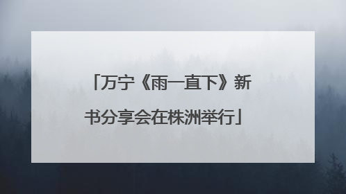 万宁《雨一直下》新书分享会在株洲举行