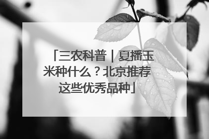 三农科普｜夏播玉米种什么？北京推荐这些优秀品种