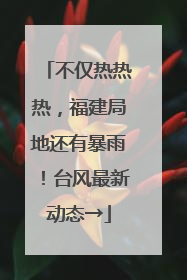不仅热热热，福建局地还有暴雨！台风最新动态→