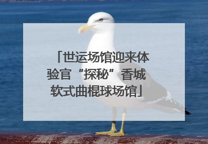 世运场馆迎来体验官“探秘”香城软式曲棍球场馆