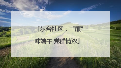 东台社区：“廉”味端午 党群情浓