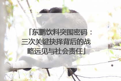 东鹏饮料突围密码：三次关键抉择背后的战略远见与社会责任