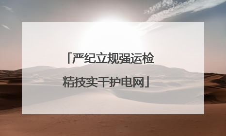 严纪立规强运检 精技实干护电网