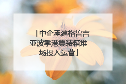 中企承建格鲁吉亚波季港集装箱堆场投入运营
