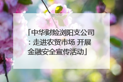 中华财险浏阳支公司：走进农贸市场 开展金融安全宣传活动