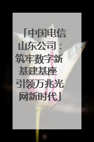 中国电信山东公司：筑牢数字新基建基座 引领万兆光网新时代