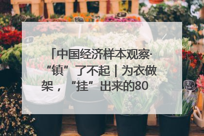 中国经济样本观察·“镇”了不起｜为衣做架，“挂”出来的80亿元“衣架产业”