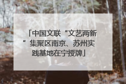 中国文联“文艺两新”集聚区南京、苏州实践基地在宁授牌