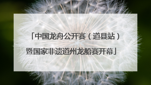 中国龙舟公开赛（道县站）暨国家非遗道州龙船赛开幕