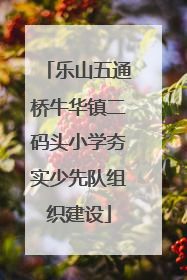 乐山五通桥牛华镇二码头小学夯实少先队组织建设