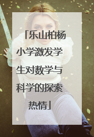 乐山柏杨小学激发学生对数学与科学的探索热情