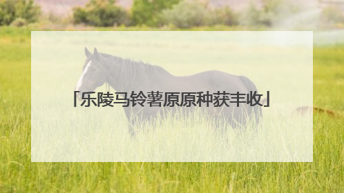 乐陵马铃薯原原种获丰收