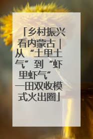 乡村振兴看内蒙古｜从“土里土气”到“虾里虾气” 一田双收模式火出圈