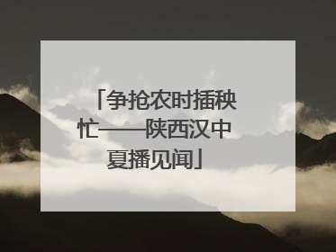 争抢农时插秧忙——陕西汉中夏播见闻