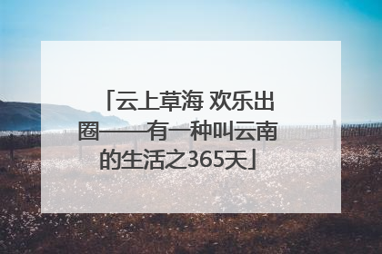 云上草海 欢乐出圈——有一种叫云南的生活之365天