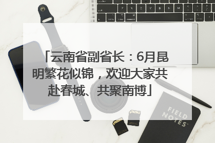云南省副省长：6月昆明繁花似锦，欢迎大家共赴春城、共聚南博
