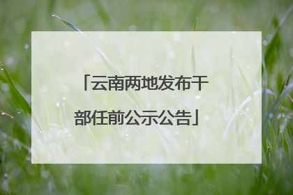 云南两地发布干部任前公示公告