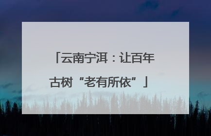 云南宁洱：让百年古树“老有所依”