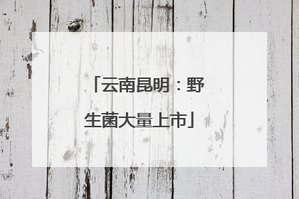 云南昆明：野生菌大量上市