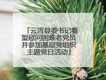 云霄县委书记看望慰问困难老党员并参加基层党组织主题党日活动