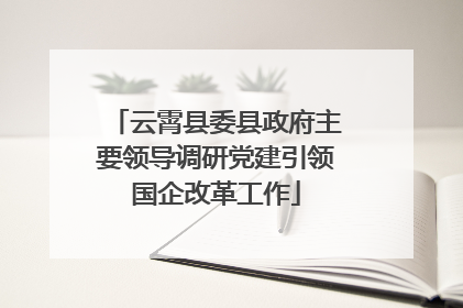 云霄县委县政府主要领导调研党建引领国企改革工作