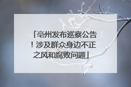 亳州发布巡察公告！涉及群众身边不正之风和腐败问题