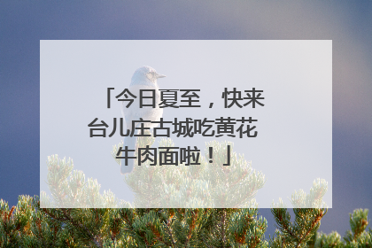 今日夏至，快来台儿庄古城吃黄花牛肉面啦！