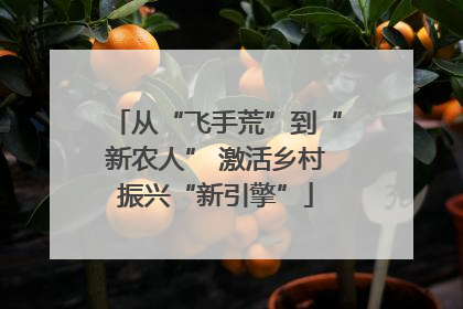 从“飞手荒”到“新农人” 激活乡村振兴“新引擎”