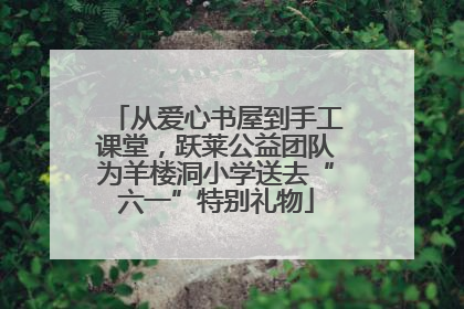 从爱心书屋到手工课堂，跃莱公益团队为羊楼洞小学送去“六一”特别礼物
