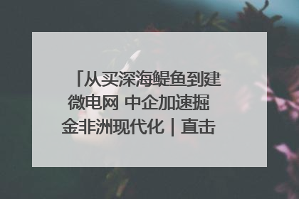 从买深海鳀鱼到建微电网 中企加速掘金非洲现代化｜直击中非经贸博览会