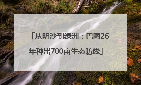 从明沙到绿洲：巴图26年种出700亩生态防线